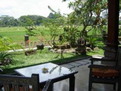 Green Field Hotel And Bungalow Убуд Экстерьер фото